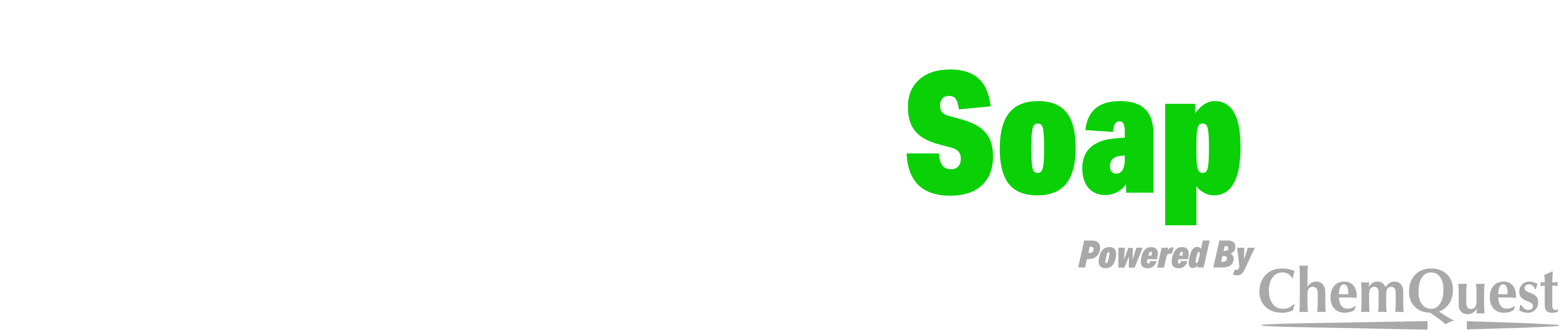 CarWashSoap Logo